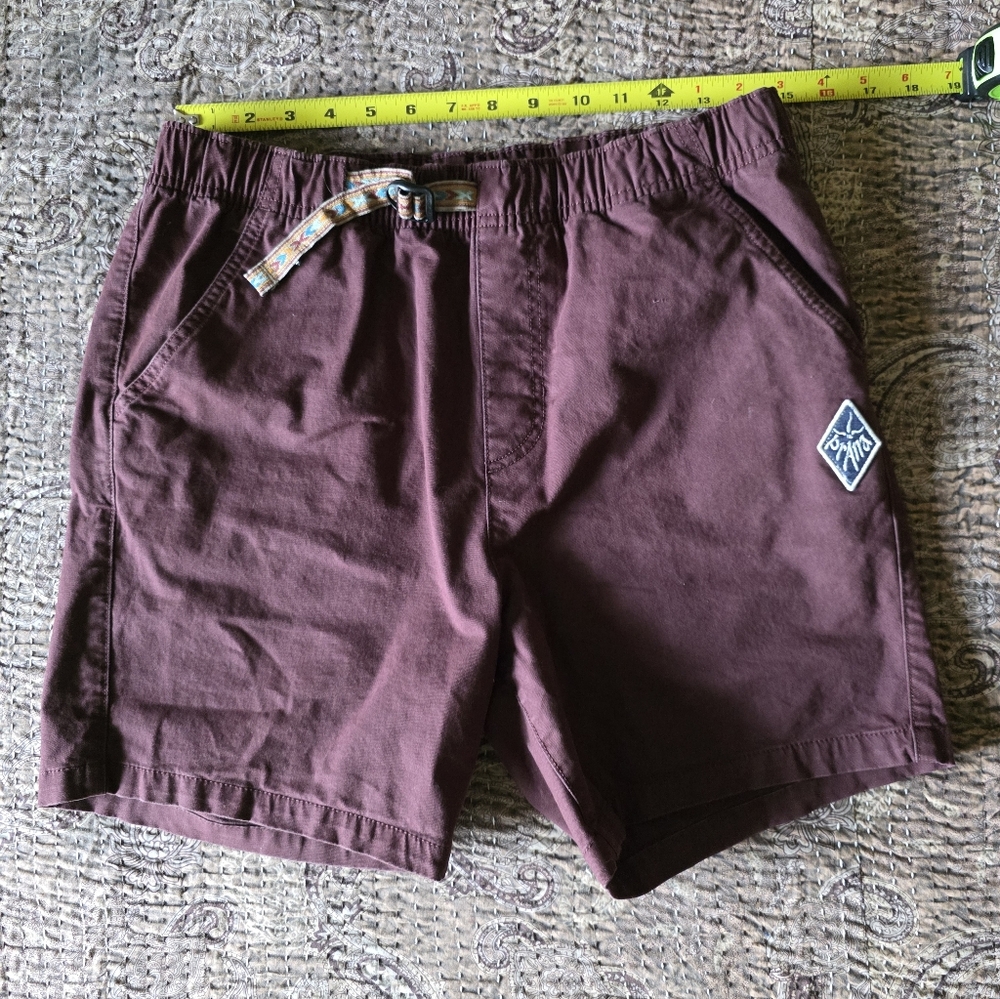 Prana Men's Burgundy Shorts